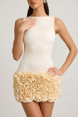 Satin Floral Appliqu¨¦ Open-Back Mini Dress in Ivory