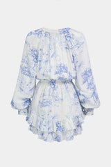 Floral Print V-Neck Ruffle Hem Long Sleeve Mini Dress